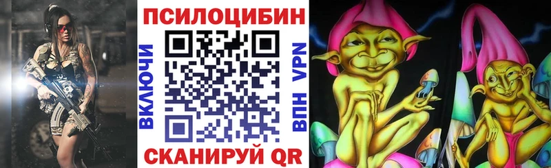 купить   Полесск  Псилоцибиновые грибы Cubensis 